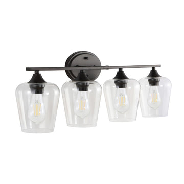 Jayne Iron/Glass Cottage Rustic LED Vanity Light